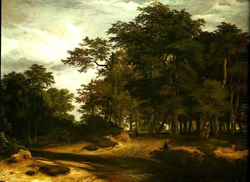 Jacob van Ruisdael den stora skogen china oil painting image